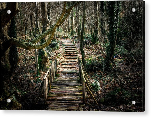 Wooden Path In The Forest - Acrylic Print