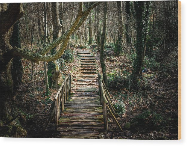 Wooden Path In The Forest - Wood Print