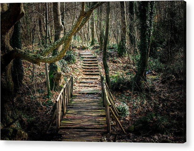 Ξύλινο μονοπάτι στο δάσος - Ακρυλική εκτύπωση